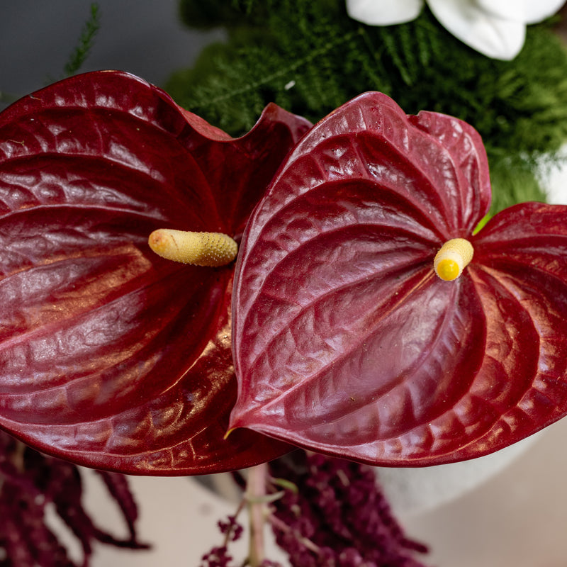 The Crimson Canvas Arrangement